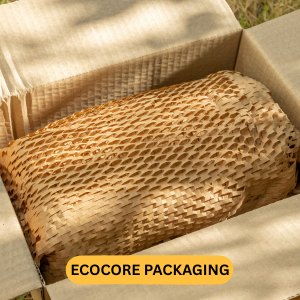 Copy of WEBSITE CREATIVES 300 X 300 (2)