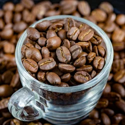 what-are-arabica-beans_1080x